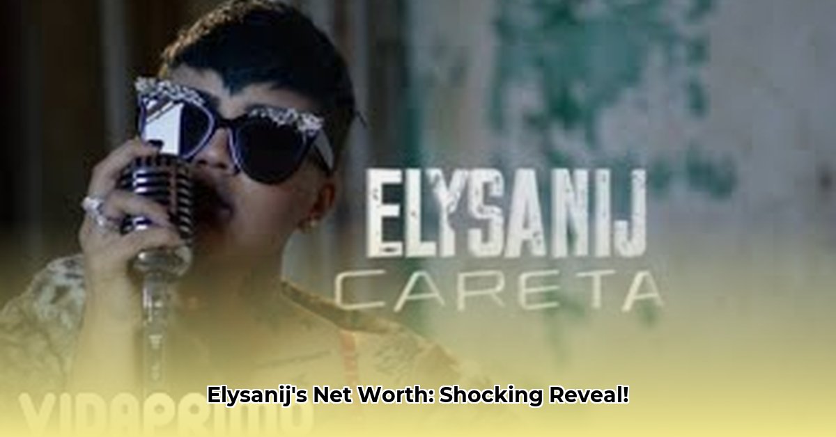 elysanij-net-worth